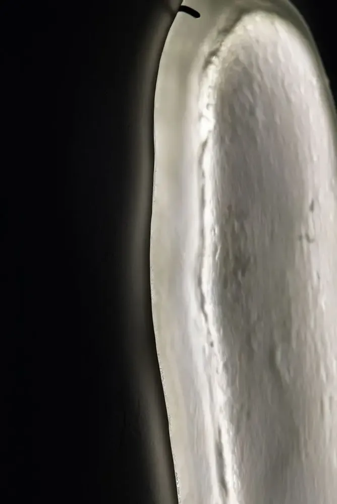 Appliques - Luminaire JELLYFISH Sister - FRESH.GLASS