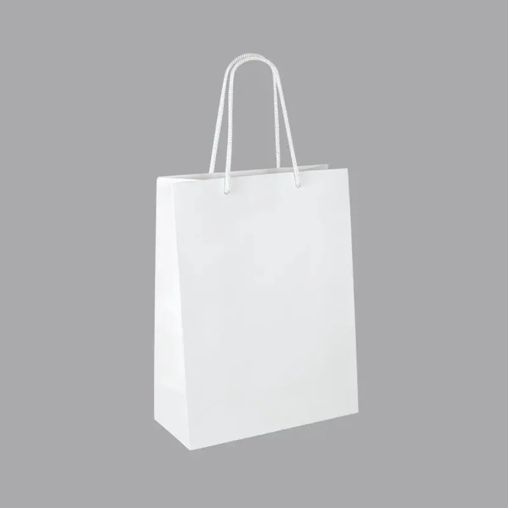 Gifts - Matte white paper bags 22 x 10 x H 29cm, 190g (x12) - LAVAL 1878