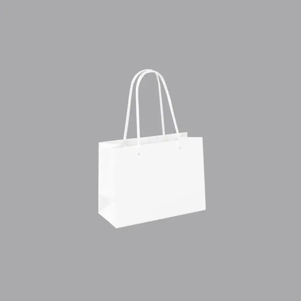 Gifts - Matte white paper bags, 16 x 7 x H 12cm, 190g (x12) - LAVAL 1878