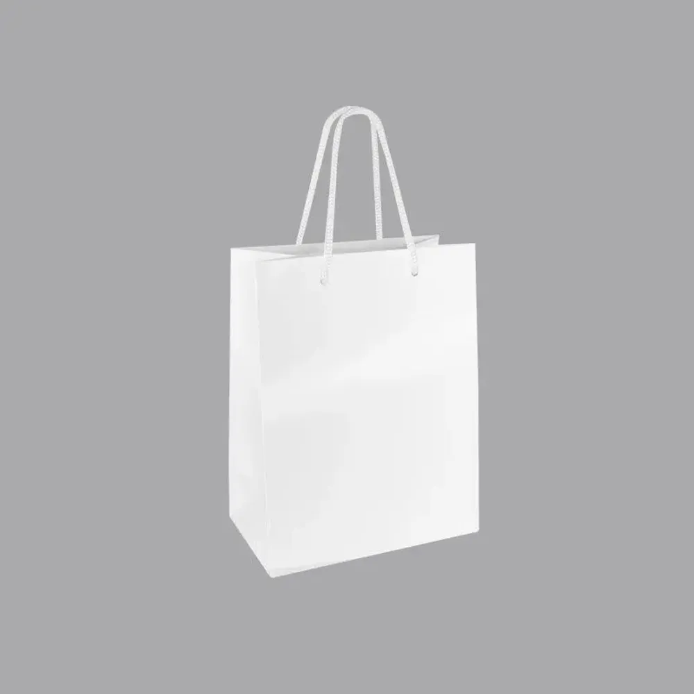 Cadeaux - Sacs papier brillant blanc 18 x 10 x H 22,7cm, 190g (x10) - LAVAL 1878