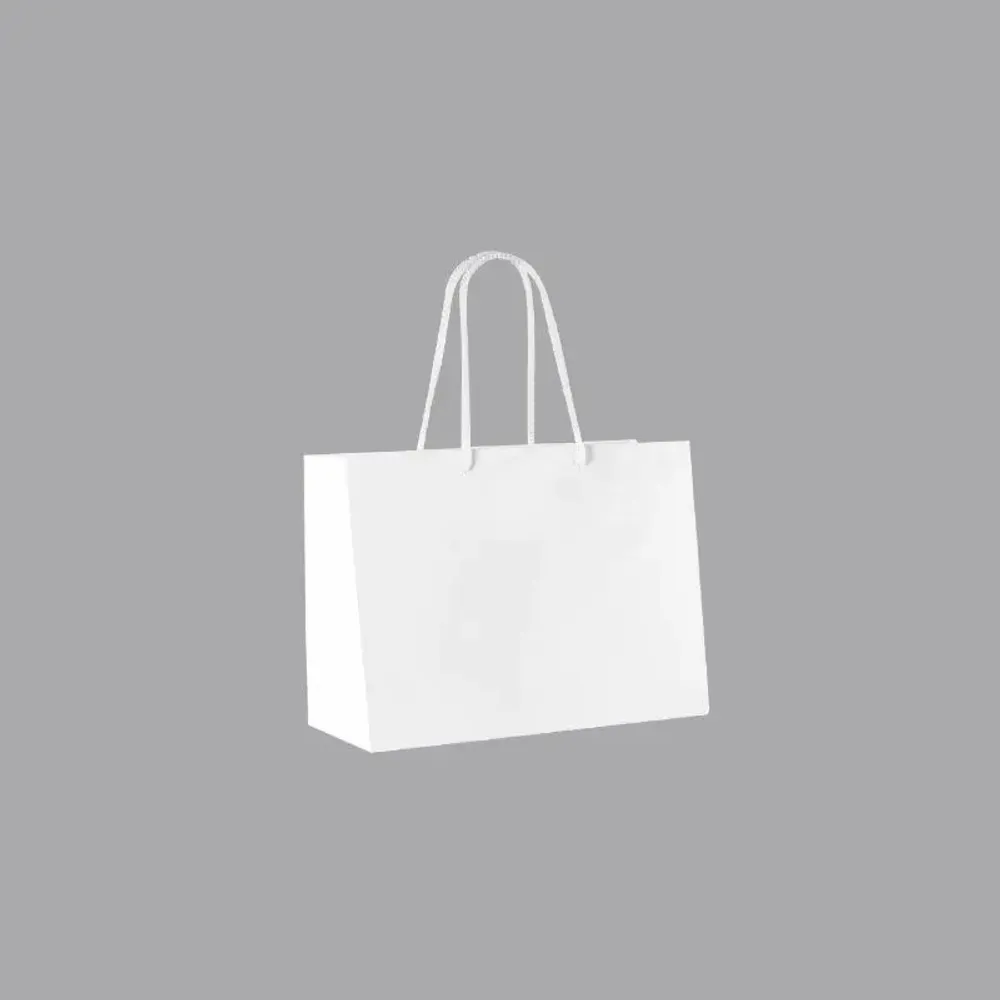 Gifts - Glossy white paper bags 24 x 12 x H 18cm, 190g (x10) - LAVAL 1878