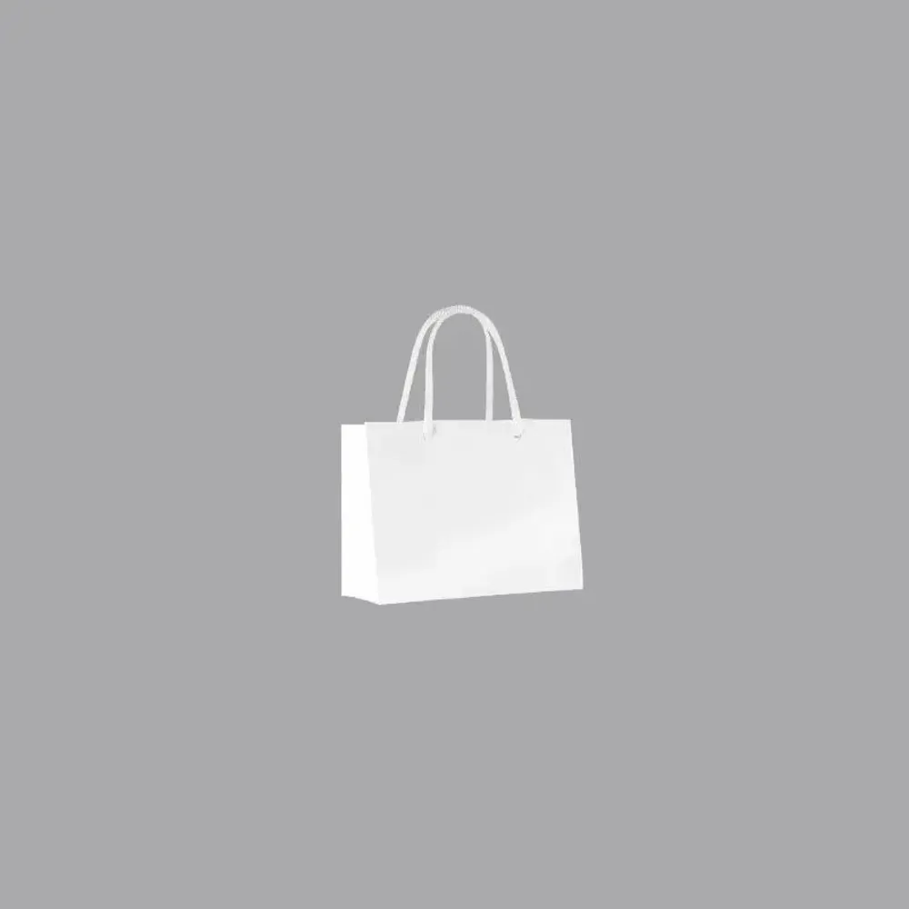Gifts - White glossy paper bags 16 x 7 x H 12cm, 190g (x25) - LAVAL 1878