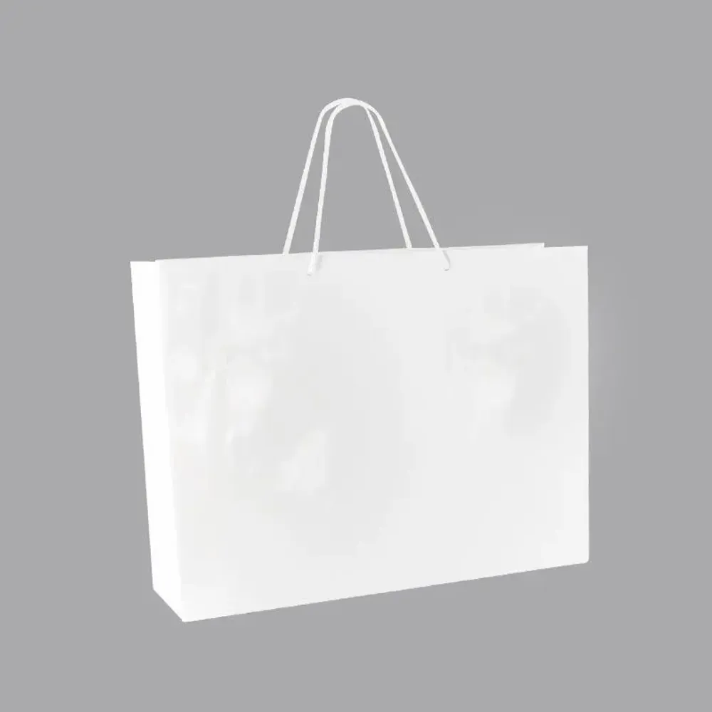 Cadeaux - Sacs papier brillant blanc 53 x 14 x H 44cm, 190g (x10) - LAVAL 1878
