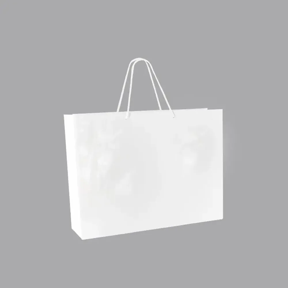 Gifts - White glossy paper bags 43 x 12 x H 32cm, 190g (x10) - LAVAL 1878