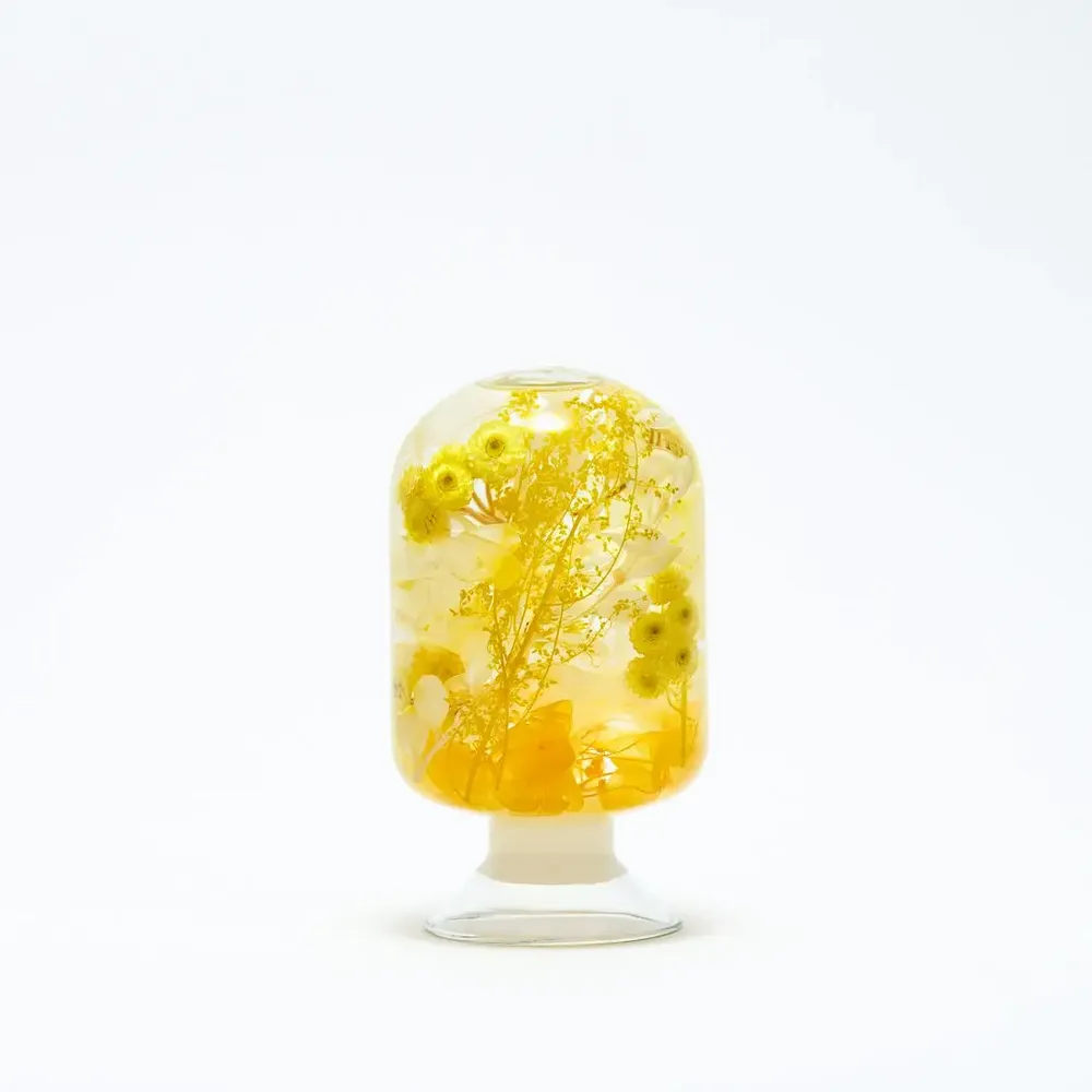 Objets de décoration - Pieces of time Yellow Immortelle - STYLEJIEUM