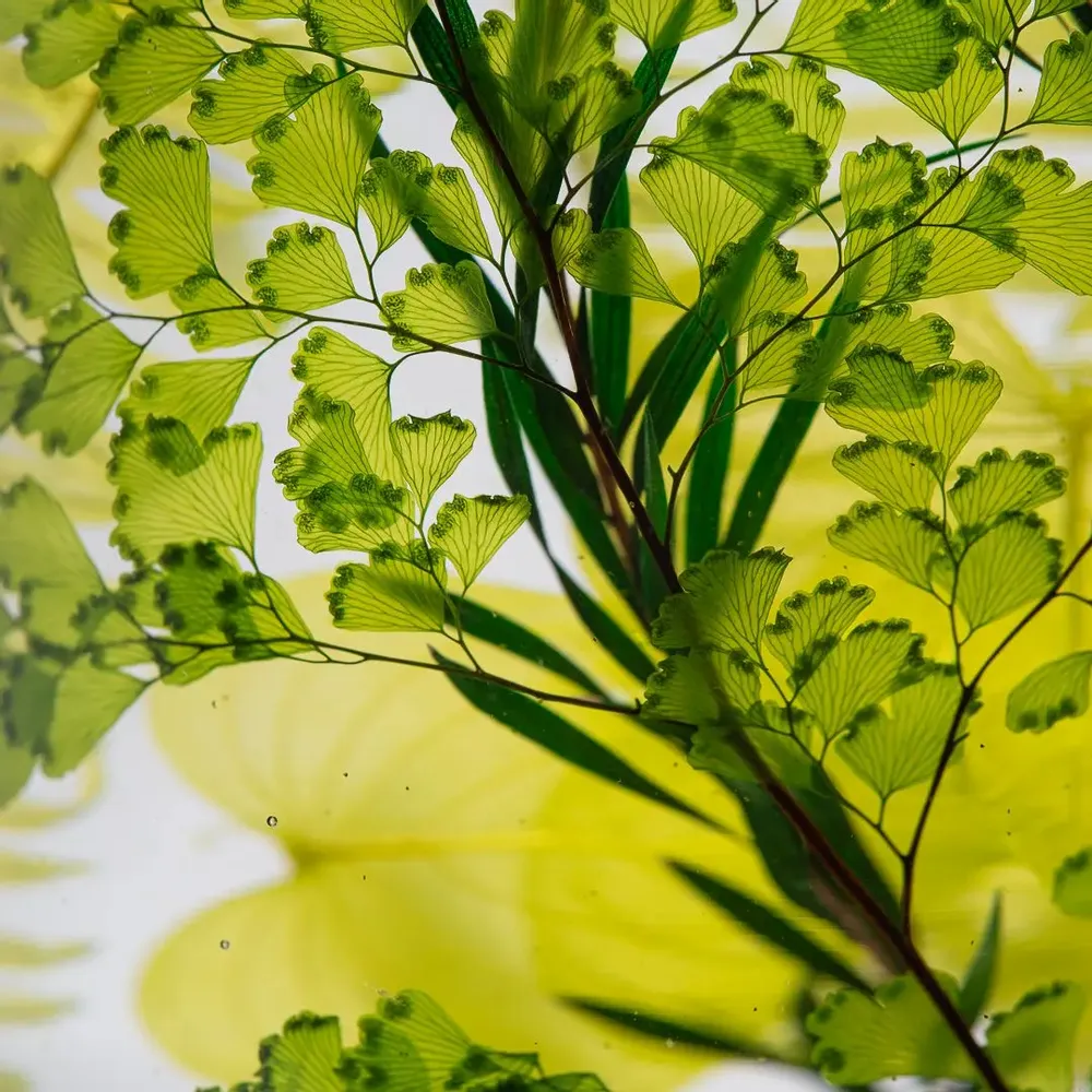 Objets de décoration - Des morceaux de temps, Heart Grass - STYLEJIEUM