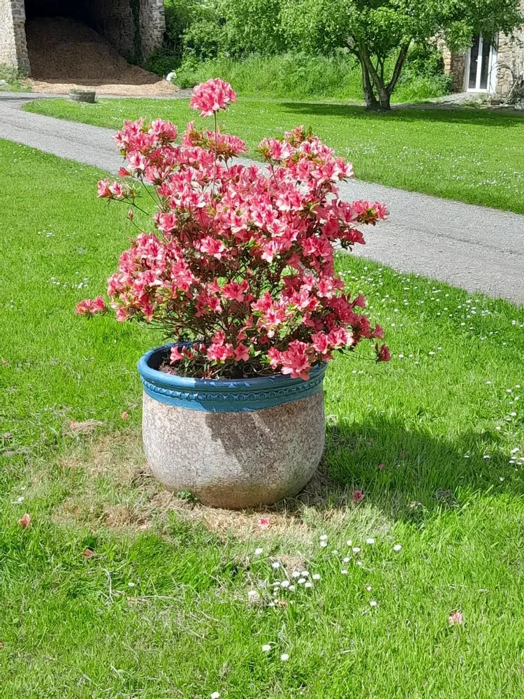 Poterie - Bugadiers - Petit et Grand Modèle - TERRES D'ALBINE