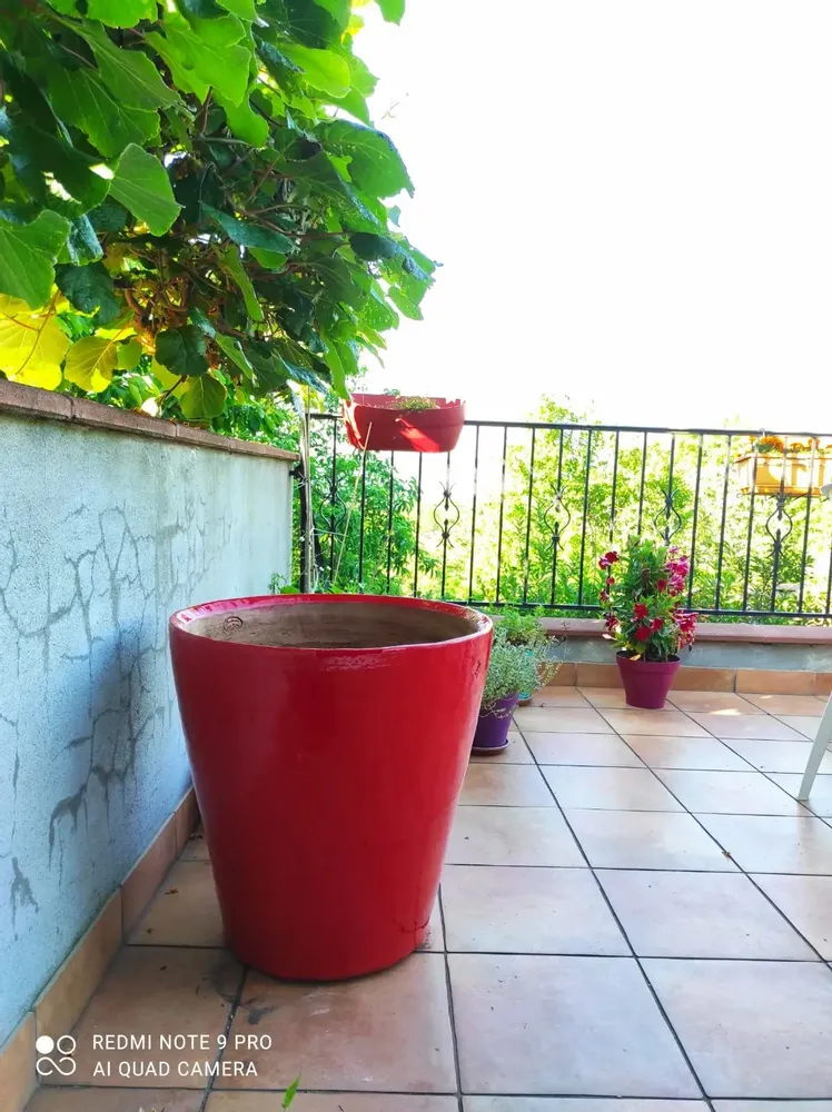 Poterie - Collection contemporaine - TERRES D'ALBINE