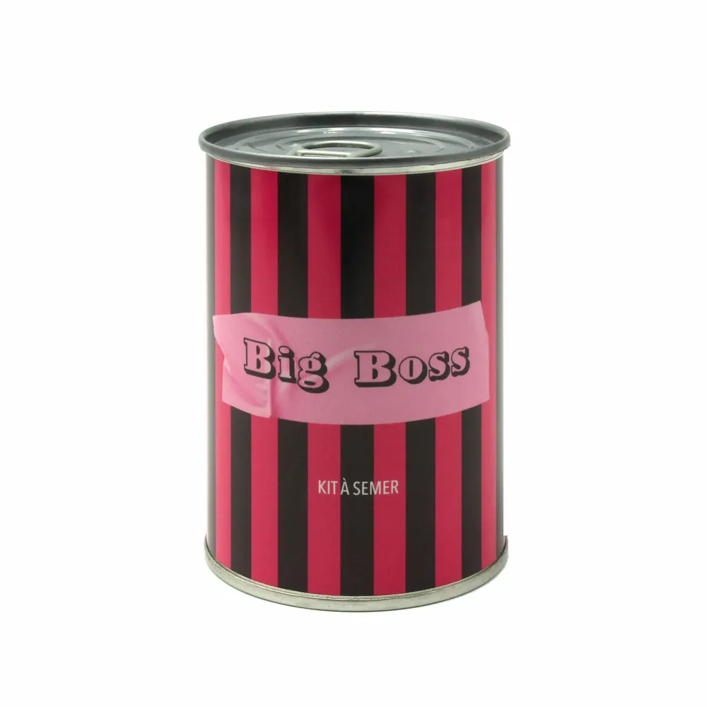 Objets de décoration - Kit à semer humoristique – Collection impertinente Mauvaises Graines - MAUVAISES GRAINES