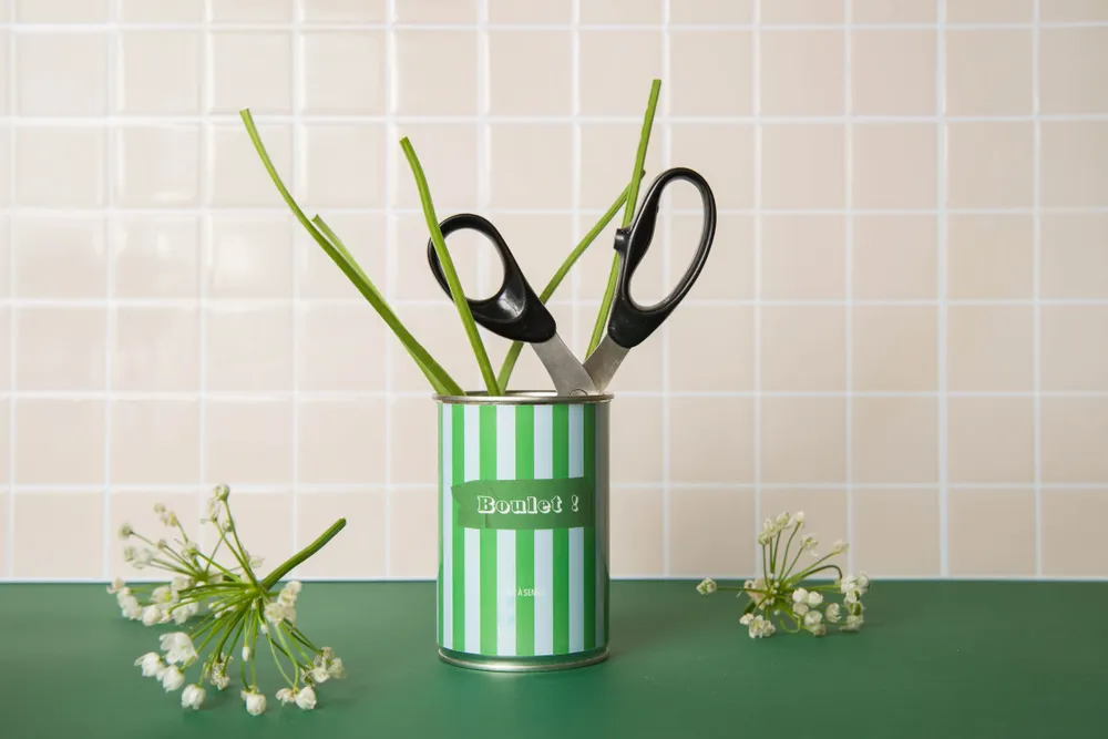 Gifts - Boulet” seed kit made in France - MAUVAISES GRAINES