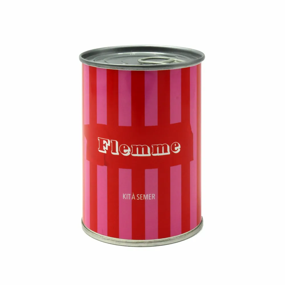 Decorative objects - Humorous seed kit made in France - Original gift - MAUVAISES GRAINES