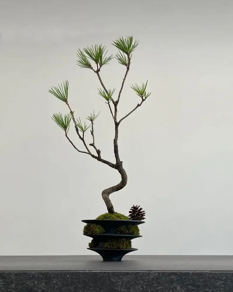 Floral decoration - Thorn - KMOMENT