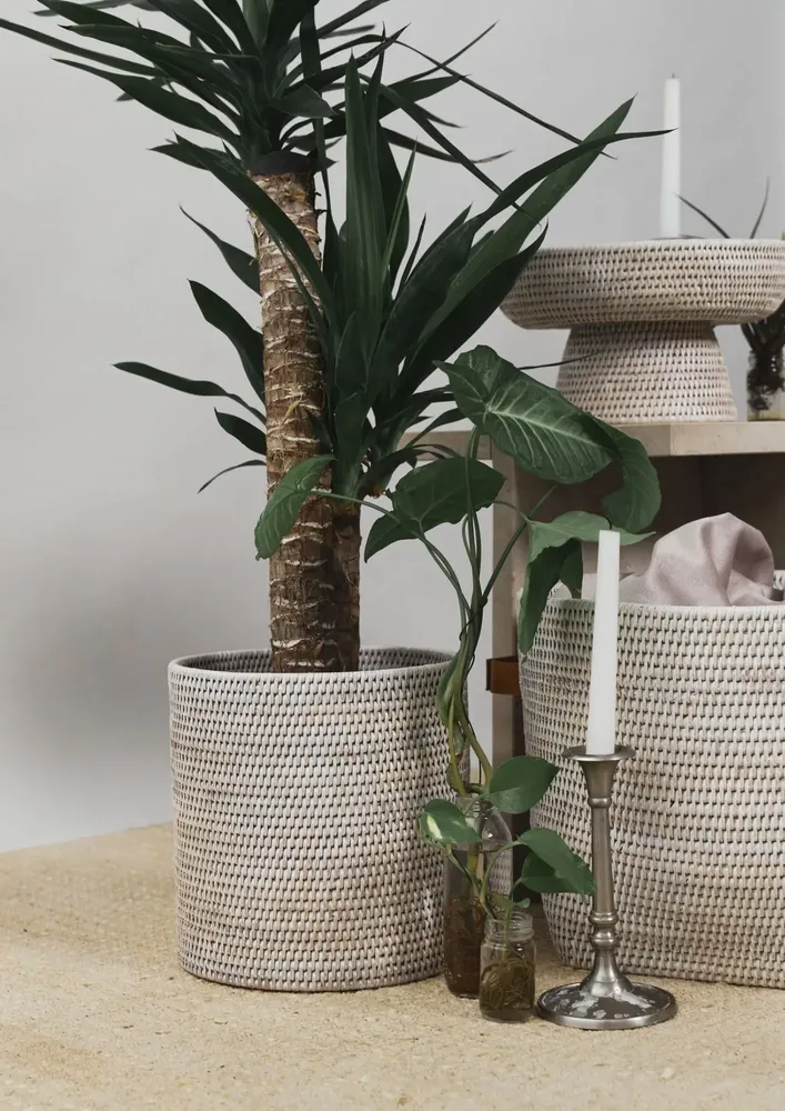 Assiettes au quotidien - VAISSELLE I - KING ZOO