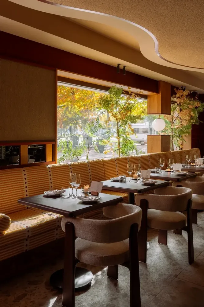 Chaises - Project The netherlands - LETA