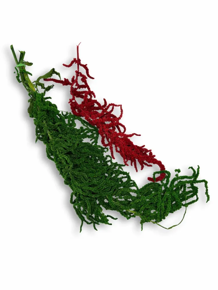 Tableaux - BALLOON DOG  « Joie Végétale » - ATELIER ECOGREEN