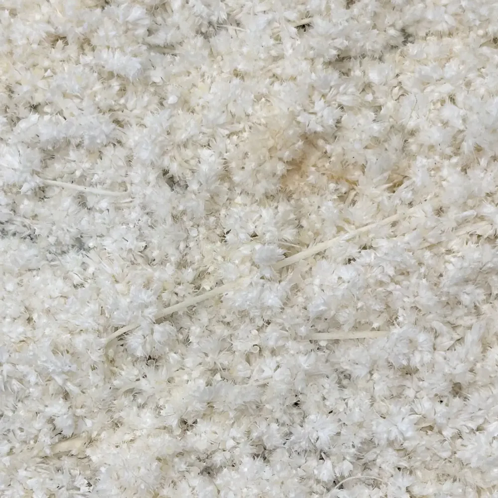 Tableaux - BALLOON DOG  « Joie Végétale » - ATELIER ECOGREEN