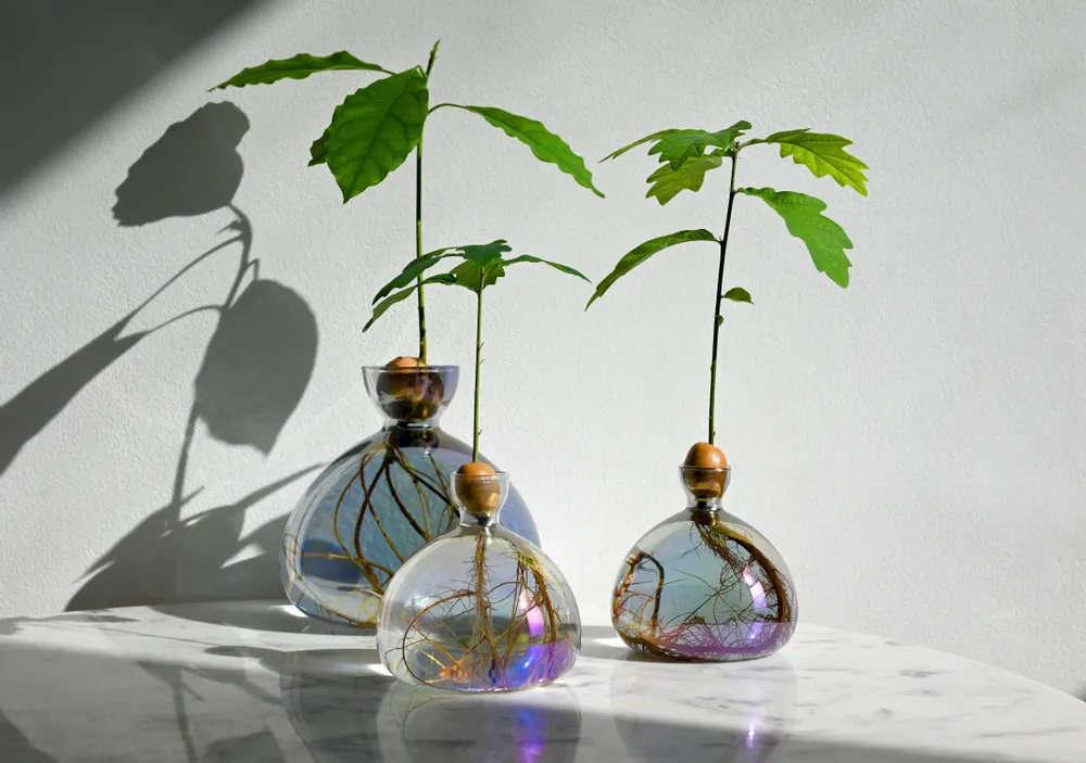 Vases - Acorn Vase - ILEX STUDIO