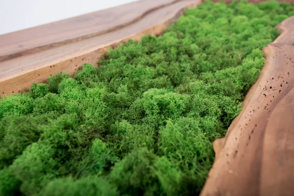 Pièces uniques - Table basse Bouconne - HERON DESIGN