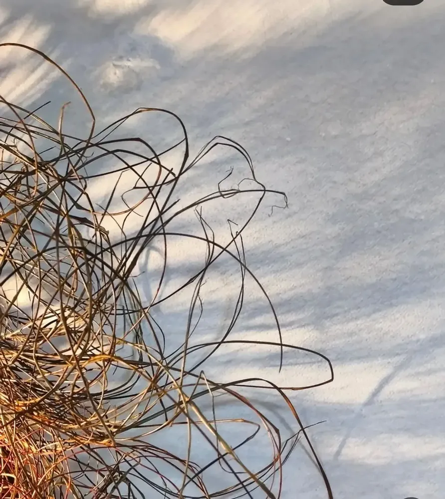 Appliques - "Coeur Fusion" - AOZILH