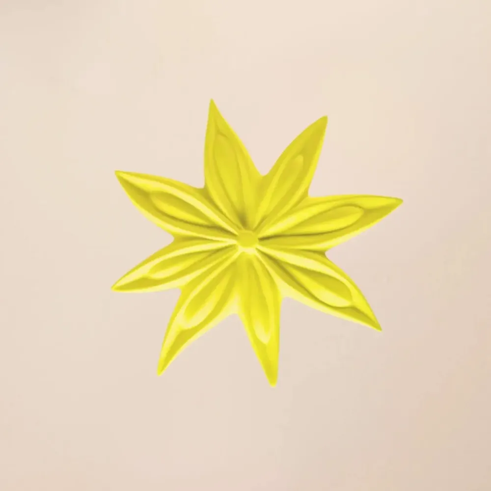 Accessoires de déco extérieure - JANIS (Fleur de badiane) - MONOCHROMIC CERAMIC