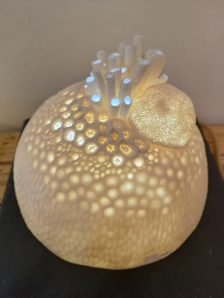 Ceramic - SEA URCHIN LIGHTS - CÉRA MISTIKA