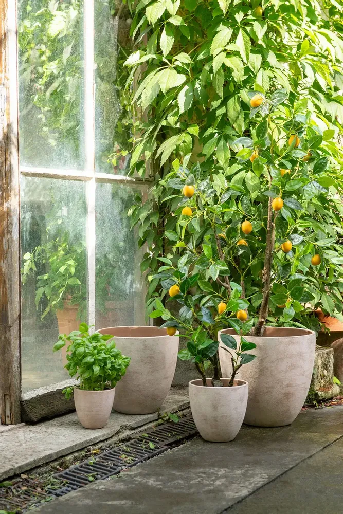 Decorative objects - Balade En Provence - J-LINE BY JOLIPA