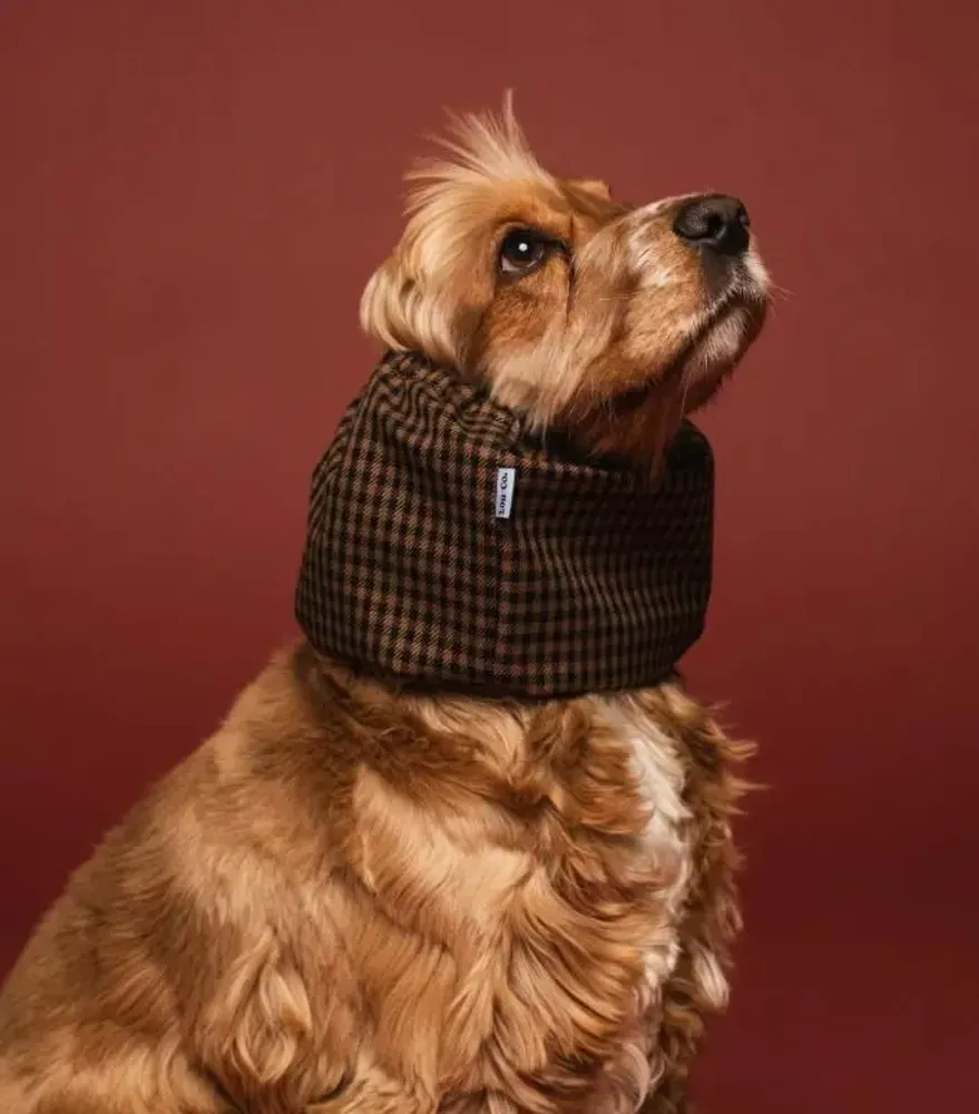 Pet accessories - Dog Snood - WATERPROOF - LOU AND CO