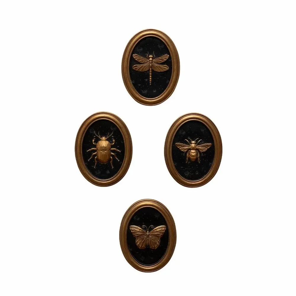 Autres décorations murales - S/4 cadres insectes Entomologie - CHEHOMA