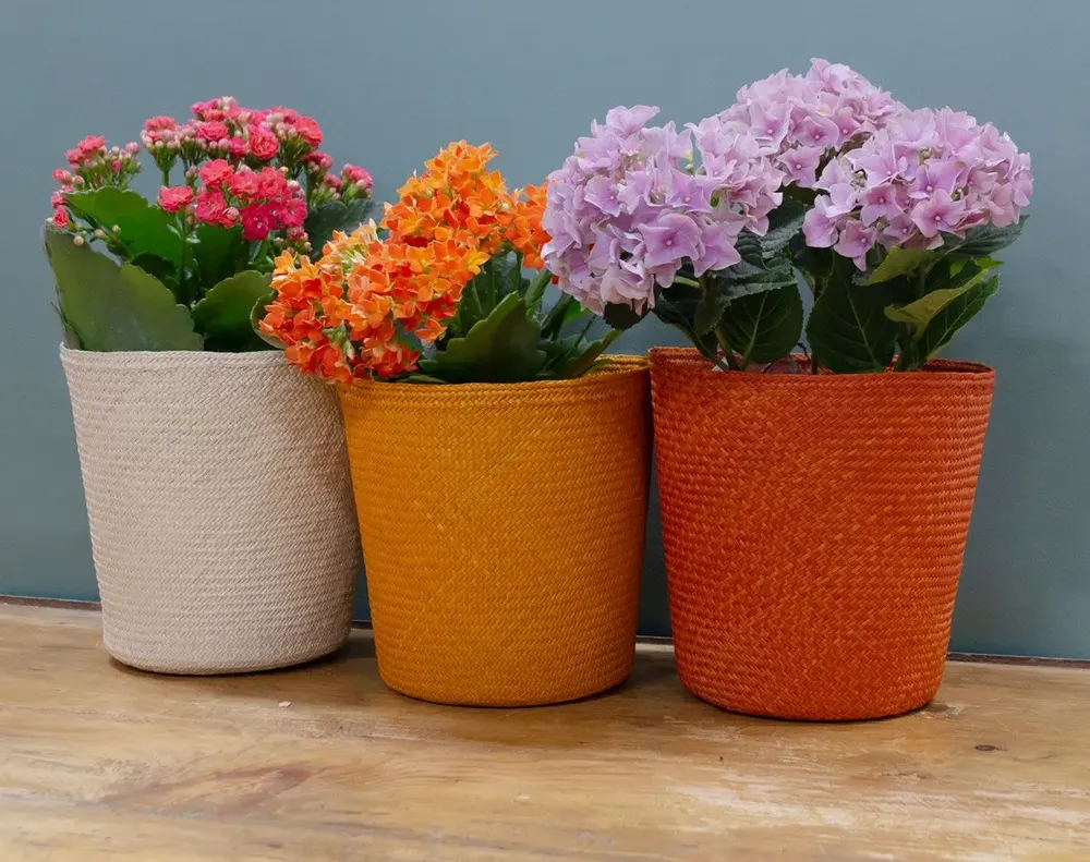 Objets de décoration - Paniers Iraca - GUANABANA HANDMADE