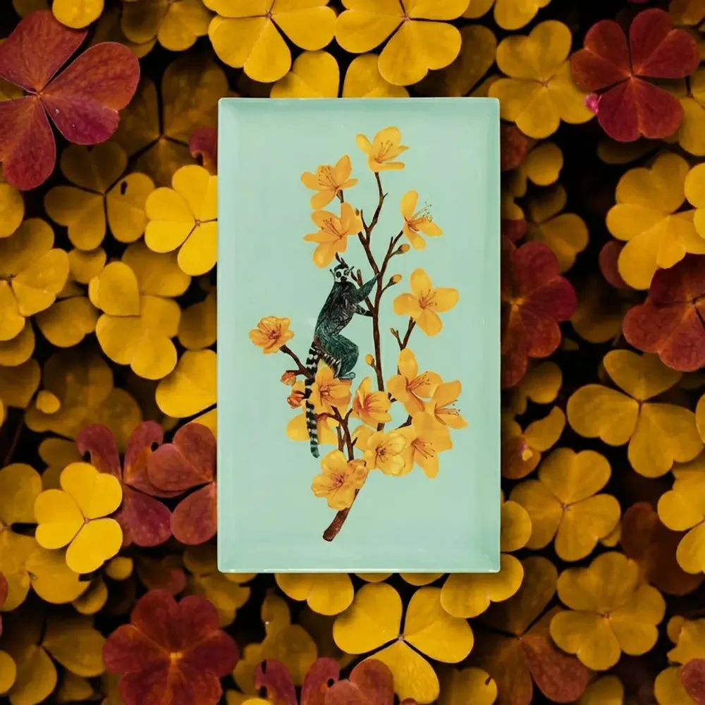 Decorative objects - Curiosito Collection - GANGZAÏ