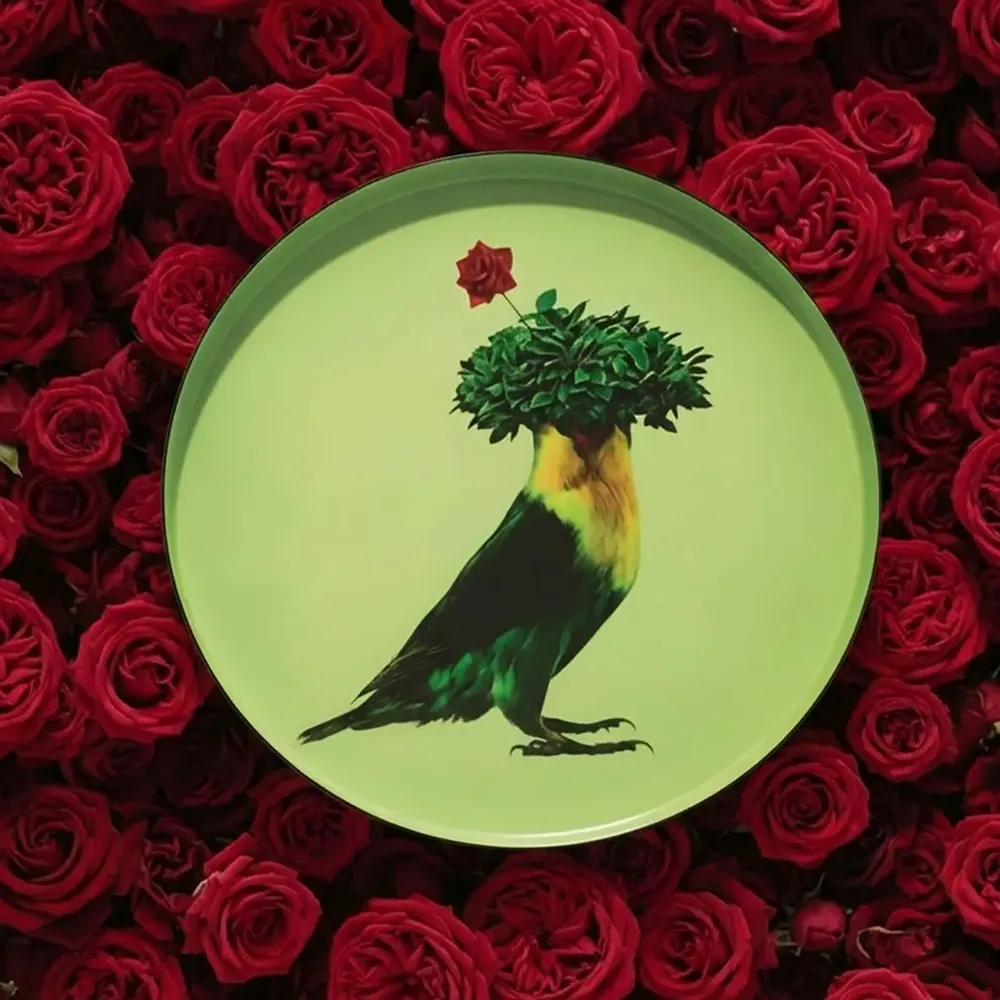 Decorative objects - Curiosito Collection - GANGZAÏ