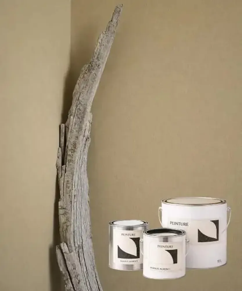 Paints and varnishes - Paint - 2.5L Facades - MARIUS AURENTI