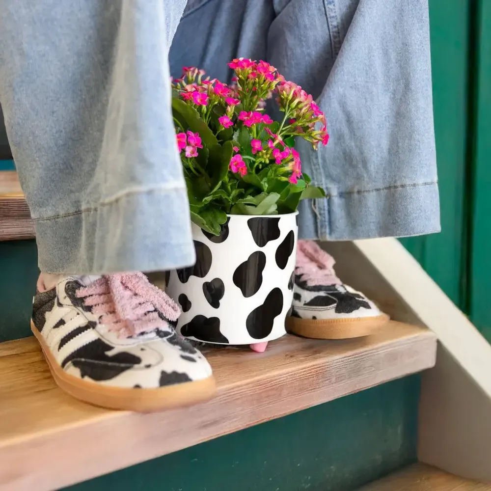 Décorations florales - POTS DE FLEURS DÉCORATIFS - FISURA