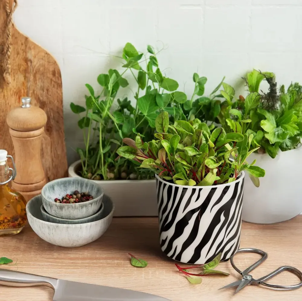 Décorations florales - POTS DE FLEURS DÉCORATIFS - FISURA