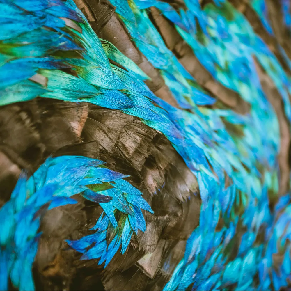 Pièces uniques - Oeuvre murale en plumes - MÉRI-LI