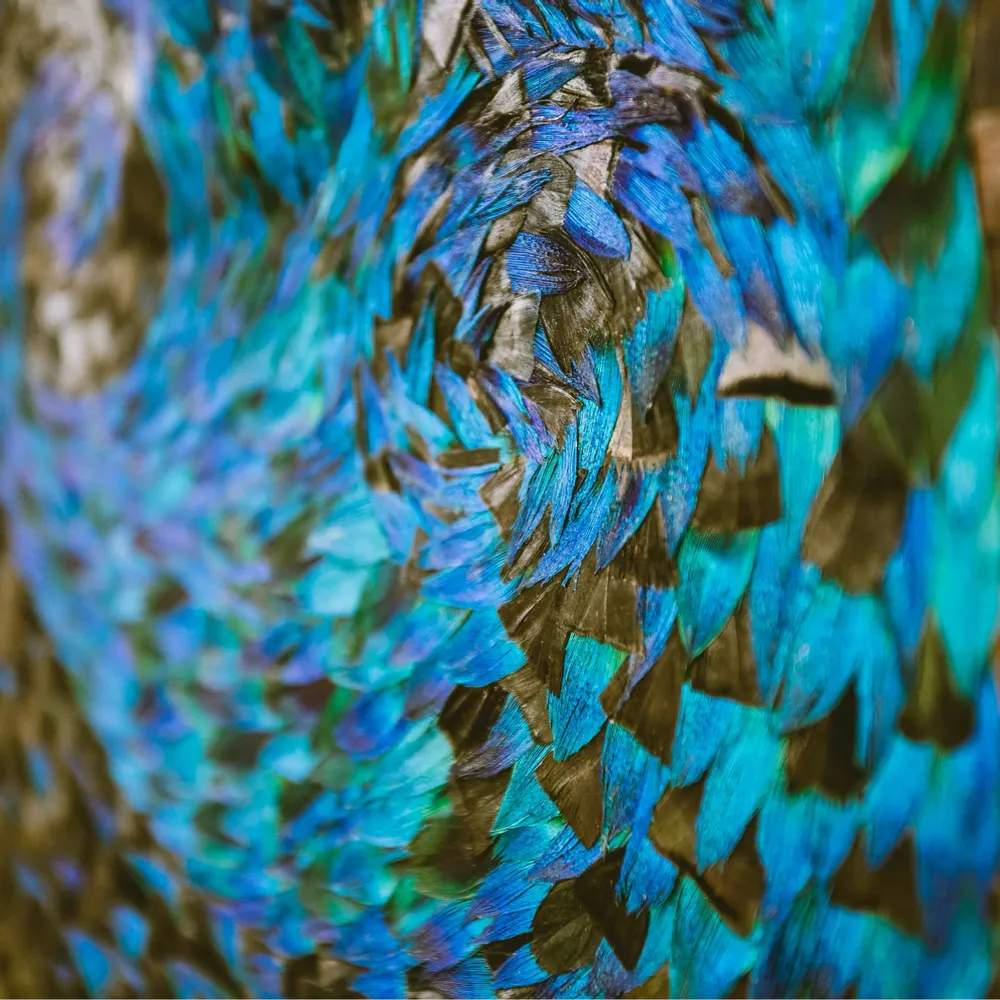 Pièces uniques - Oeuvre murale en plumes - MÉRI-LI