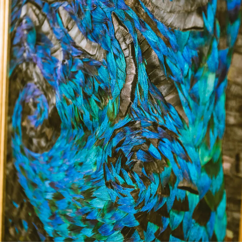 Pièces uniques - Oeuvre murale en plumes - MÉRI-LI