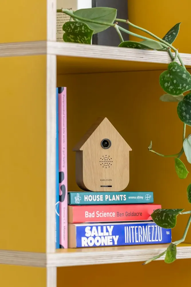 Horloges - Sound Box Modern Cuckoo - PRESENT TIME