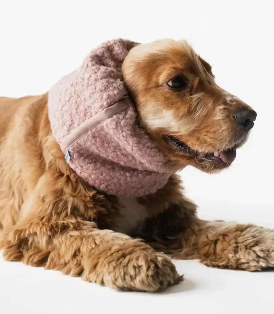 Accessoires animaux - SNOOD POUR CHIEN - LOU AND CO