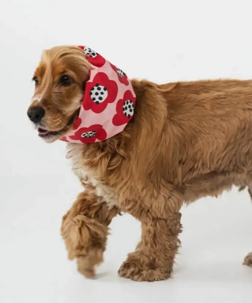 Accessoires animaux - SNOOD POUR CHIEN - LOU AND CO