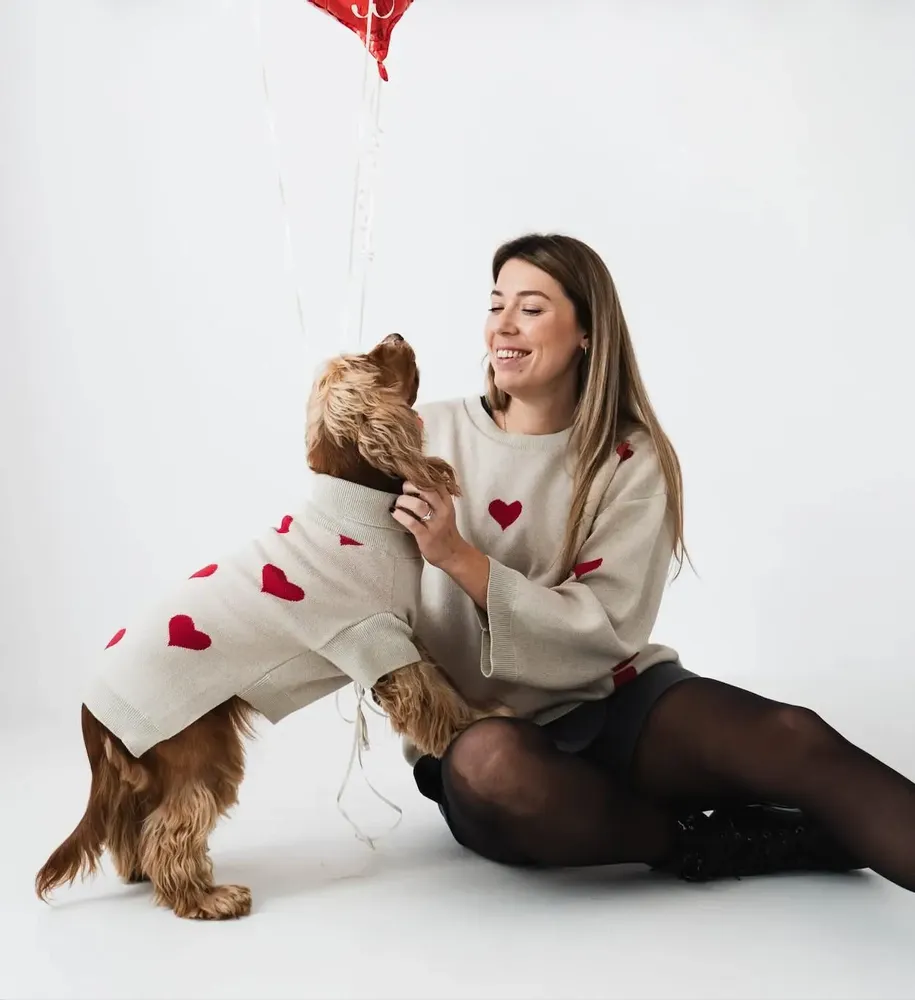 Pet accessories - DOG SWEATER - LOU AND CO