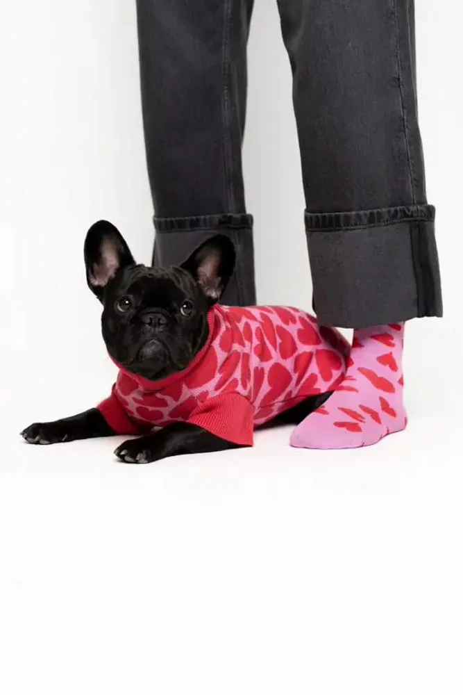 Pet accessories - DOG SWEATER - LOU AND CO