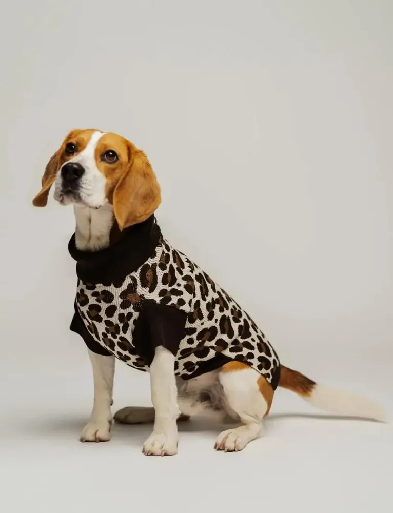 Pet accessories - DOG SWEATER - LOU AND CO