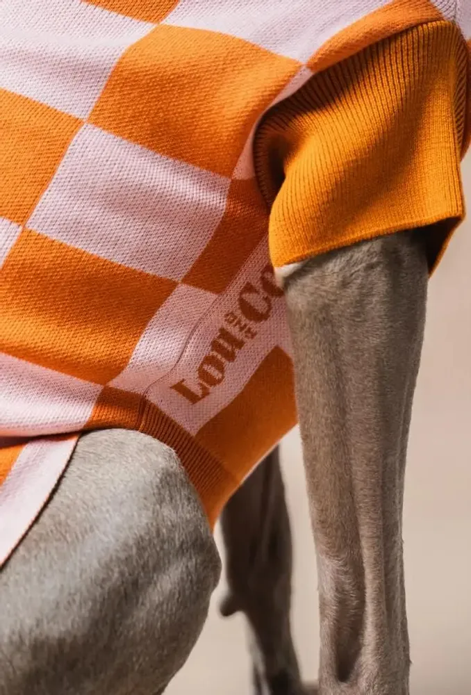 Pet accessories - DOG SWEATER - LOU AND CO