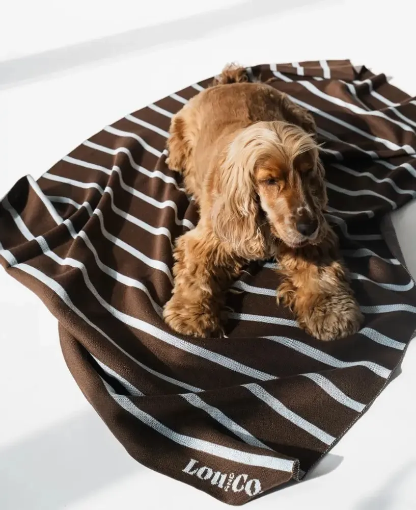 Pet accessories - DOG SWEATER - LOU AND CO