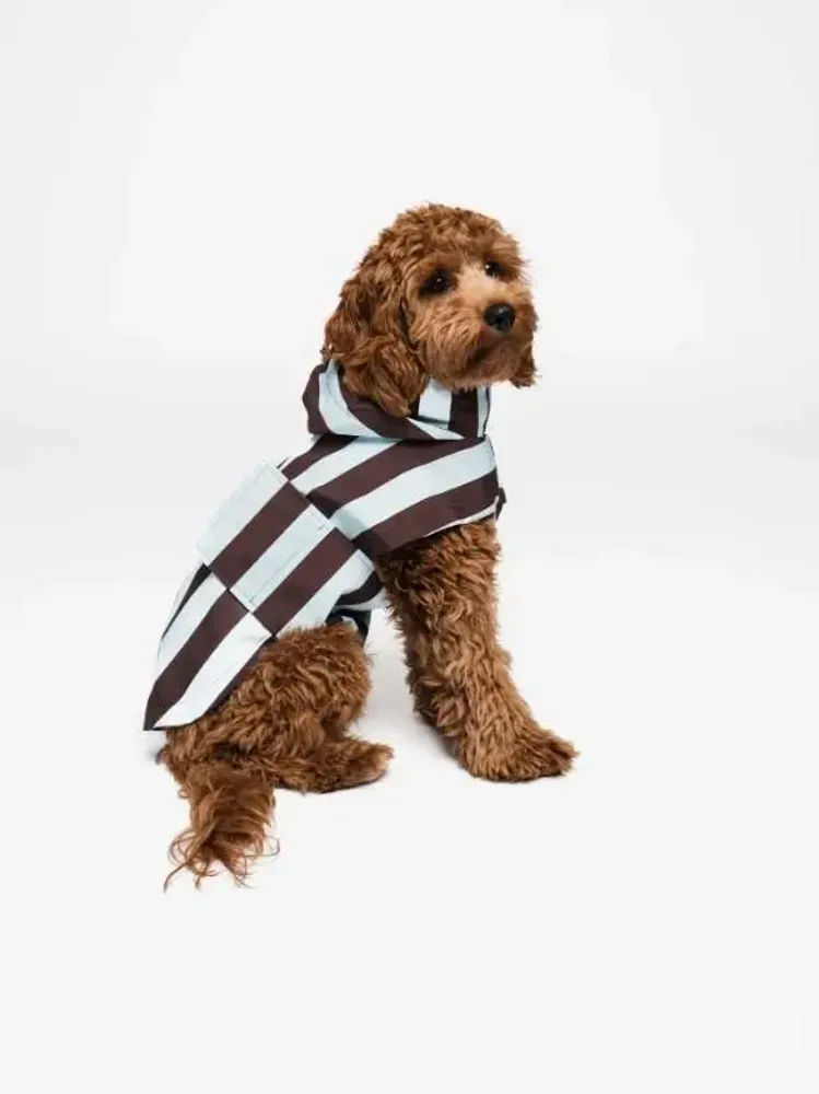 Pet accessories - DOG RAINCOAT - LOU AND CO