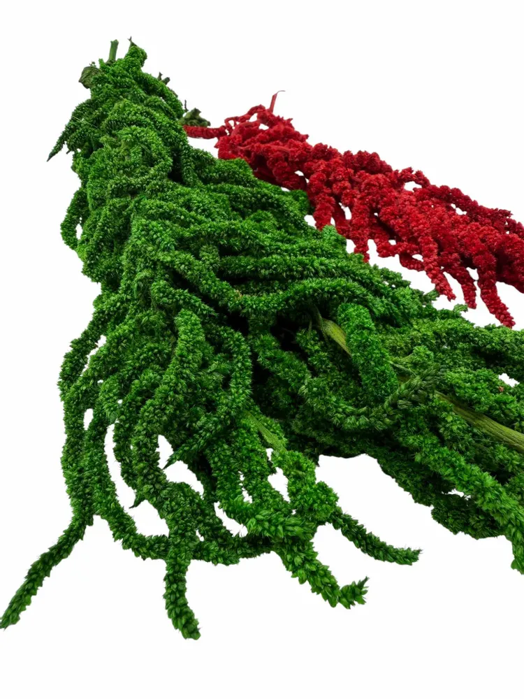 Tableaux - Soleil géométrique  "Rayon de vie" - ATELIER ECOGREEN