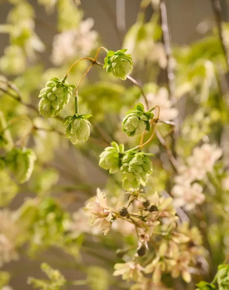 Décorations florales - Bouquet vert et blanc en soie artificielle à l'aspect naturel - SILK-KA BV