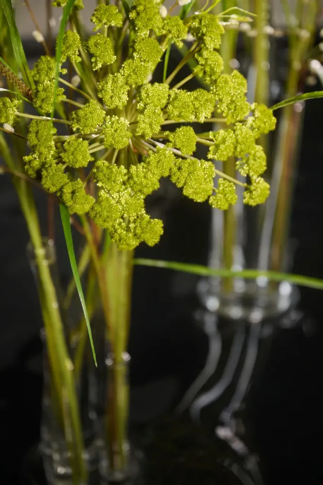 Décorations florales - Bouquet d'aneth et d'herbe en soie artificielle au look naturel et fra - SILK-KA BV