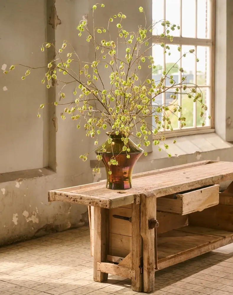 Décorations florales - Bouquet de branches de houblon en soie artificielle, naturel et intemp - SILK-KA BV